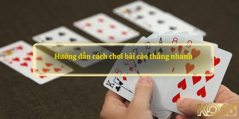 Tổng quan thông tin về bài cào cho người mới